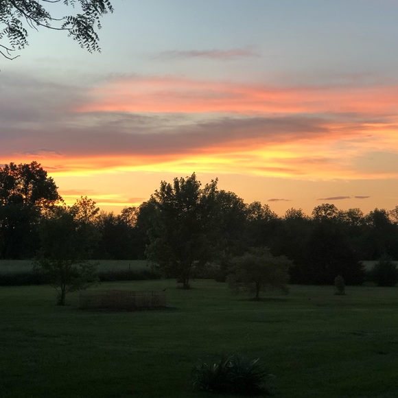 Meet your Posher, Brittany - Picture 1 of 1